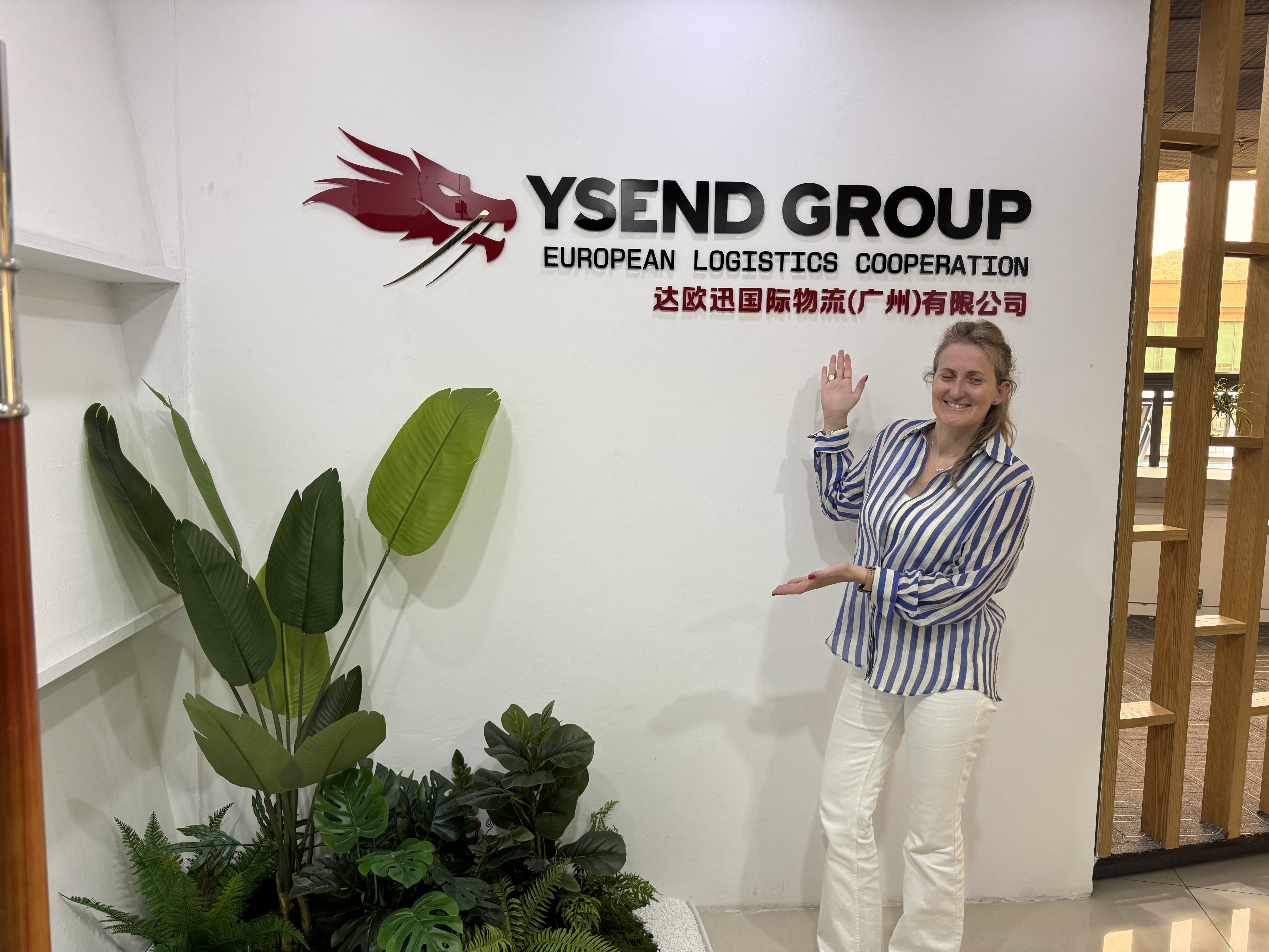 YSEND GROUP Office Environment